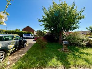 Photo 2- click for photo gallery